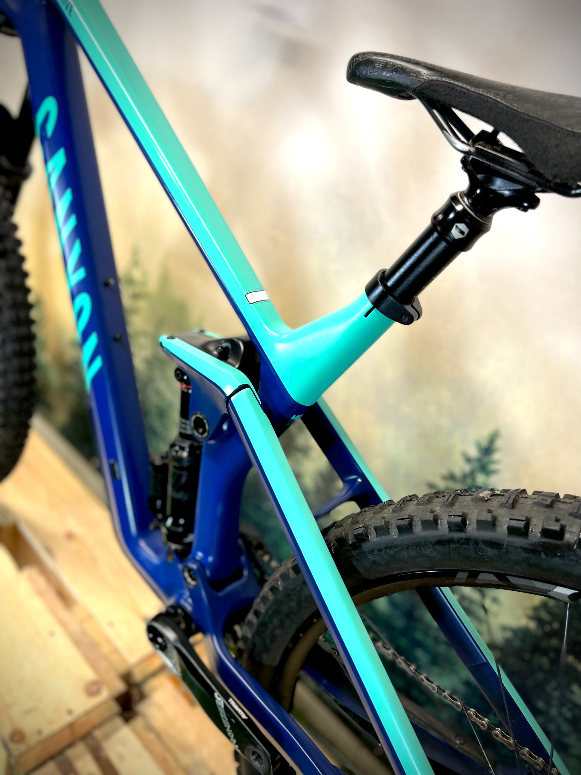 Canyon strive al 6.0 hot sale 2019