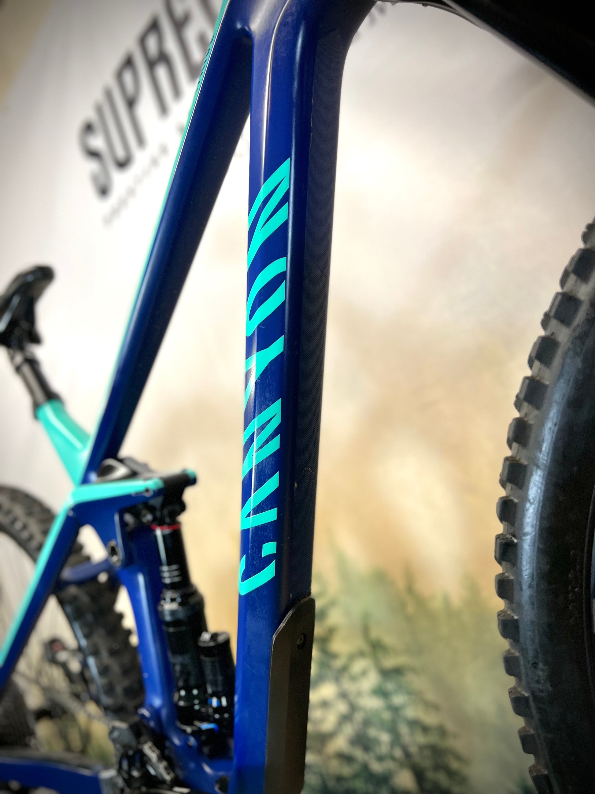 Canyon strive 2025 5.0 2019